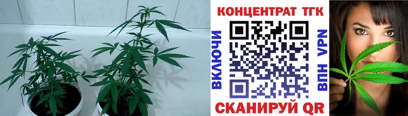 Дистиллят ТГК Wax  Купить где  Малаховка 